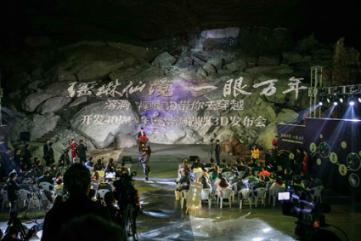 豉油鸡用什么鸡做好吃游戏画面