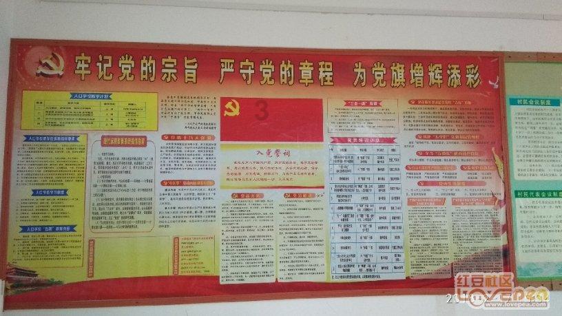热血灌篮不要网游戏画面